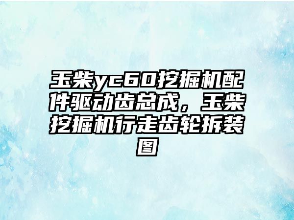 玉柴yc60挖掘機(jī)配件驅(qū)動齒總成，玉柴挖掘機(jī)行走齒輪拆裝圖