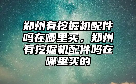 鄭州有挖掘機(jī)配件嗎在哪里買(mǎi)，鄭州有挖掘機(jī)配件嗎在哪里買(mǎi)的