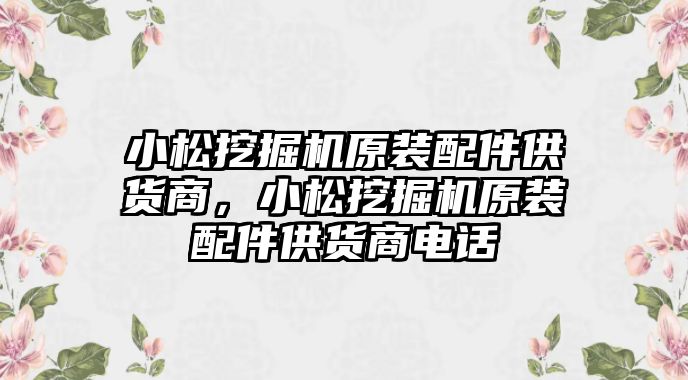 小松挖掘機(jī)原裝配件供貨商，小松挖掘機(jī)原裝配件供貨商電話