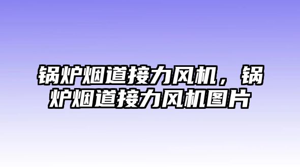 鍋爐煙道接力風機，鍋爐煙道接力風機圖片