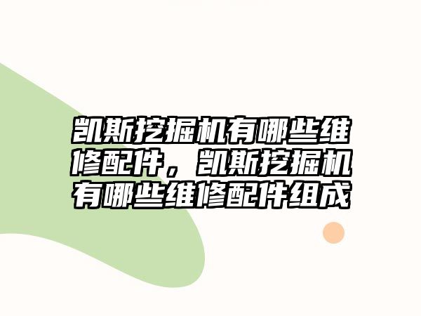 凱斯挖掘機有哪些維修配件，凱斯挖掘機有哪些維修配件組成