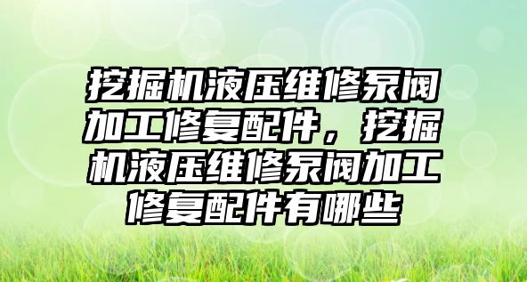 挖掘機液壓維修泵閥加工修復(fù)配件，挖掘機液壓維修泵閥加工修復(fù)配件有哪些