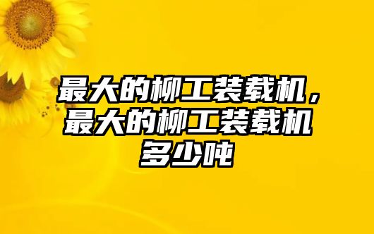 最大的柳工裝載機(jī)，最大的柳工裝載機(jī)多少噸