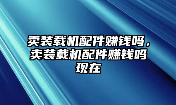 賣裝載機配件賺錢嗎，賣裝載機配件賺錢嗎現(xiàn)在