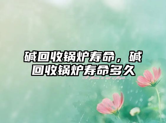 堿回收鍋爐壽命，堿回收鍋爐壽命多久