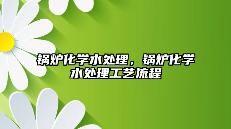 鍋爐化學(xué)水處理，鍋爐化學(xué)水處理工藝流程