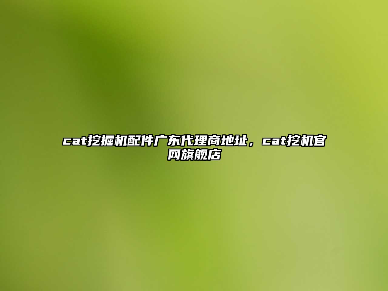 cat挖掘機(jī)配件廣東代理商地址，cat挖機(jī)官網(wǎng)旗艦店