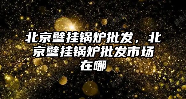 北京壁掛鍋爐批發(fā)，北京壁掛鍋爐批發(fā)市場在哪