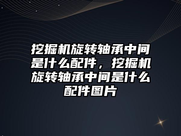 挖掘機旋轉(zhuǎn)軸承中間是什么配件，挖掘機旋轉(zhuǎn)軸承中間是什么配件圖片