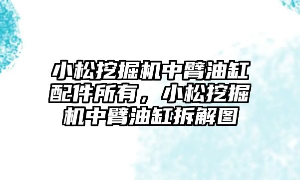 小松挖掘機中臂油缸配件所有，小松挖掘機中臂油缸拆解圖