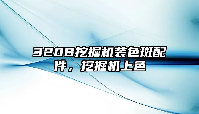 320B挖掘機裝色斑配件，挖掘機上色