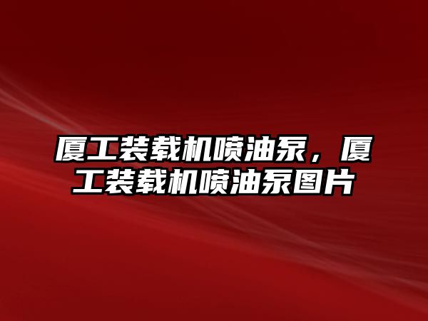 廈工裝載機噴油泵，廈工裝載機噴油泵圖片