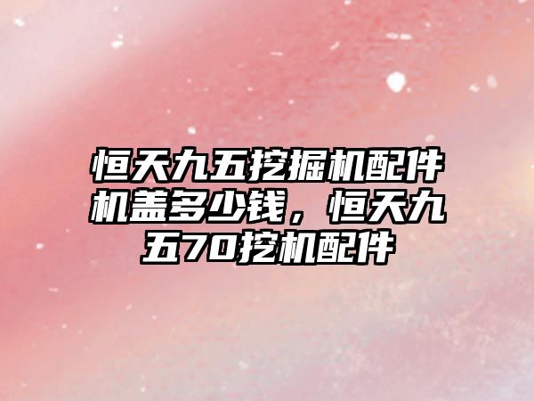 恒天九五挖掘機(jī)配件機(jī)蓋多少錢，恒天九五70挖機(jī)配件