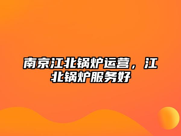 南京江北鍋爐運(yùn)營(yíng)，江北鍋爐服務(wù)好