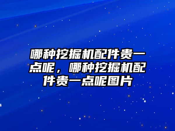 哪種挖掘機配件貴一點呢，哪種挖掘機配件貴一點呢圖片