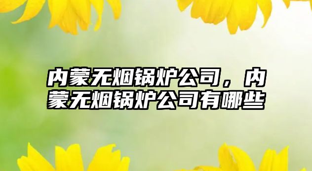 內(nèi)蒙無煙鍋爐公司，內(nèi)蒙無煙鍋爐公司有哪些