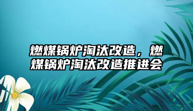 燃煤鍋爐淘汰改造，燃煤鍋爐淘汰改造推進會