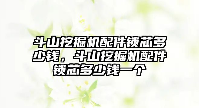 斗山挖掘機配件鎖芯多少錢，斗山挖掘機配件鎖芯多少錢一個