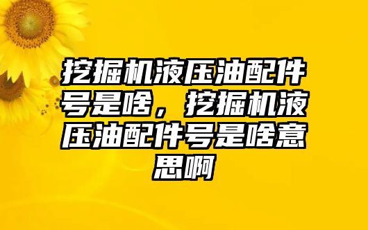 挖掘機液壓油配件號是啥，挖掘機液壓油配件號是啥意思啊