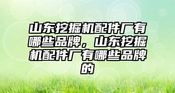 山東挖掘機配件廠有哪些品牌，山東挖掘機配件廠有哪些品牌的