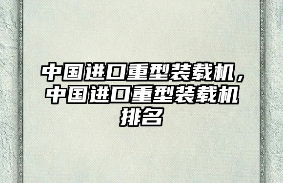 中國進口重型裝載機，中國進口重型裝載機排名