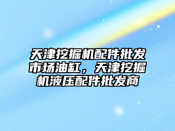 天津挖掘機配件批發(fā)市場油缸，天津挖掘機液壓配件批發(fā)商