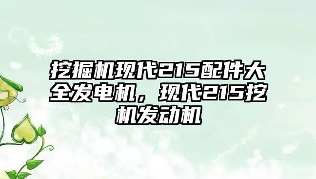 挖掘機現(xiàn)代215配件大全發(fā)電機，現(xiàn)代215挖機發(fā)動機