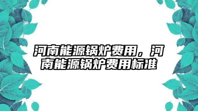 河南能源鍋爐費用，河南能源鍋爐費用標準