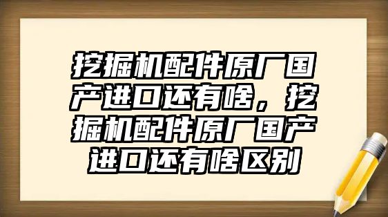 挖掘機配件原廠國產進口還有啥，挖掘機配件原廠國產進口還有啥區(qū)別