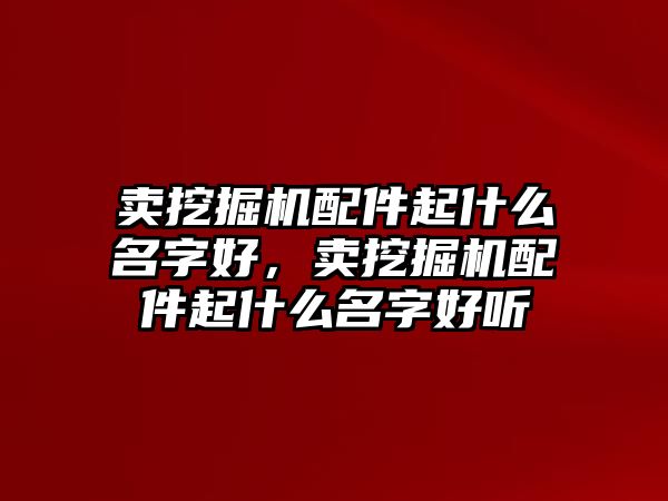 賣挖掘機配件起什么名字好，賣挖掘機配件起什么名字好聽