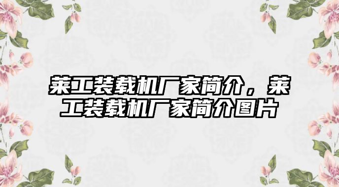 萊工裝載機廠家簡介，萊工裝載機廠家簡介圖片