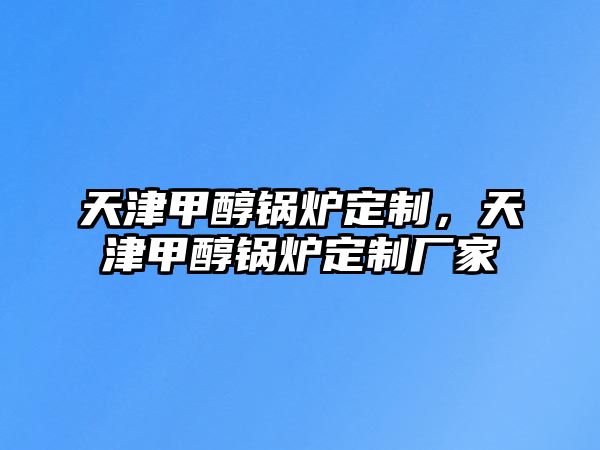 天津甲醇鍋爐定制，天津甲醇鍋爐定制廠家