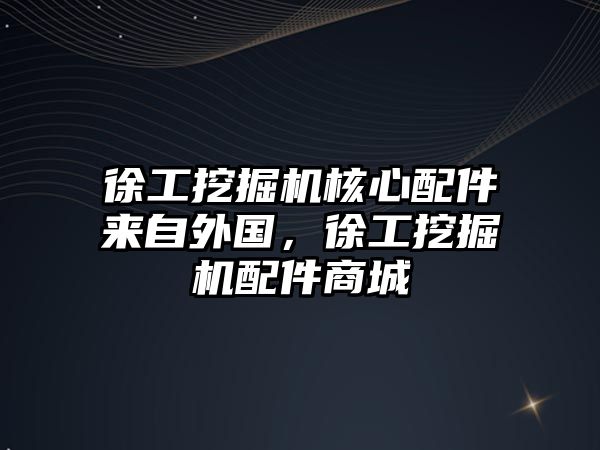 徐工挖掘機核心配件來自外國，徐工挖掘機配件商城