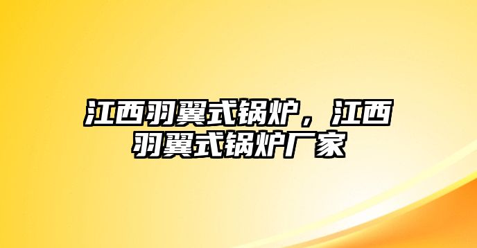 江西羽翼式鍋爐，江西羽翼式鍋爐廠家