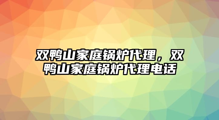 雙鴨山家庭鍋爐代理，雙鴨山家庭鍋爐代理電話