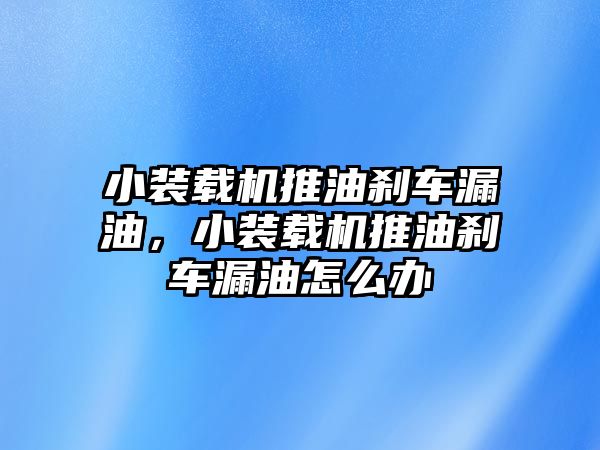 小裝載機推油剎車漏油，小裝載機推油剎車漏油怎么辦