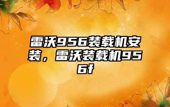 雷沃956裝載機安裝，雷沃裝載機956f