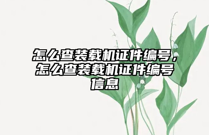 怎么查裝載機證件編號，怎么查裝載機證件編號信息