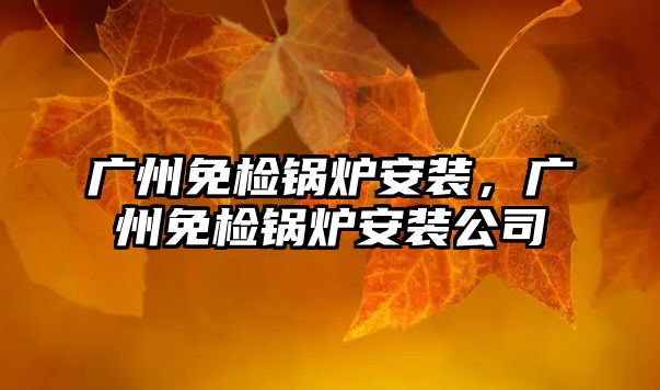 廣州免檢鍋爐安裝，廣州免檢鍋爐安裝公司