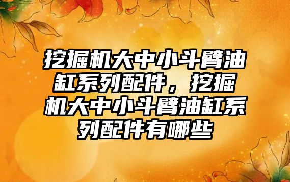 挖掘機大中小斗臂油缸系列配件，挖掘機大中小斗臂油缸系列配件有哪些