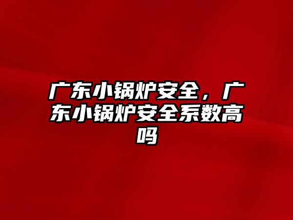 廣東小鍋爐安全，廣東小鍋爐安全系數(shù)高嗎