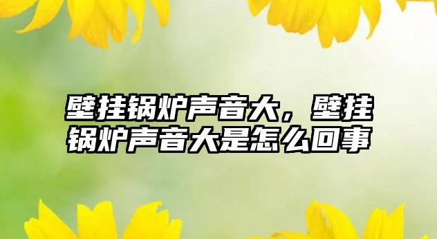 壁掛鍋爐聲音大，壁掛鍋爐聲音大是怎么回事