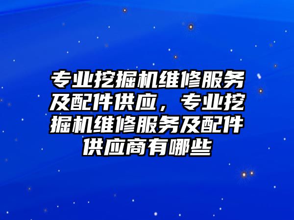 專業(yè)挖掘機維修服務及配件供應，專業(yè)挖掘機維修服務及配件供應商有哪些