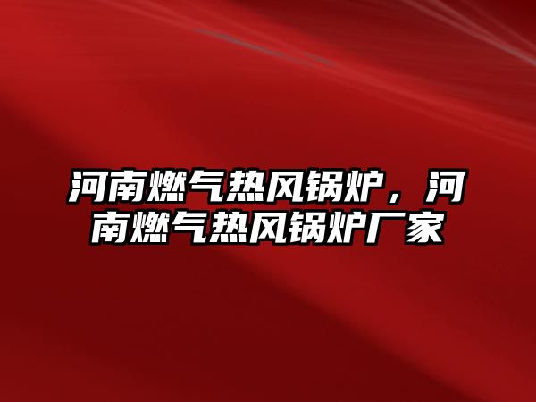 河南燃?xì)鉄犸L(fēng)鍋爐，河南燃?xì)鉄犸L(fēng)鍋爐廠家