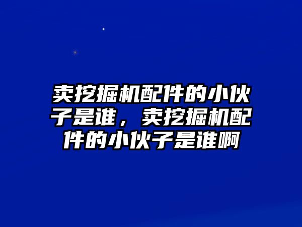 賣挖掘機(jī)配件的小伙子是誰，賣挖掘機(jī)配件的小伙子是誰啊