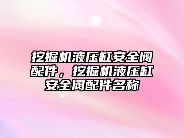 挖掘機液壓缸安全閥配件，挖掘機液壓缸安全閥配件名稱