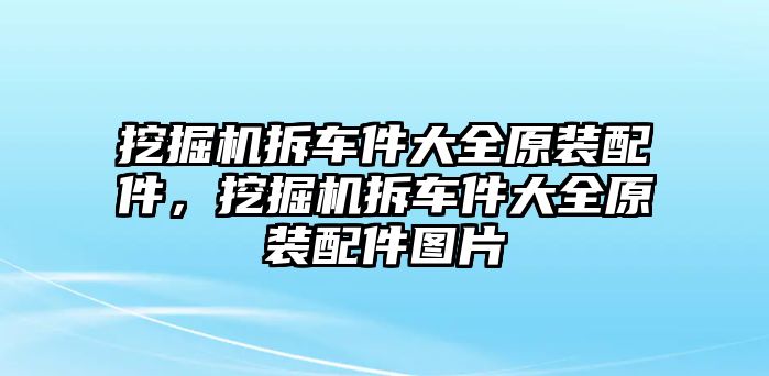 挖掘機(jī)拆車件大全原裝配件，挖掘機(jī)拆車件大全原裝配件圖片