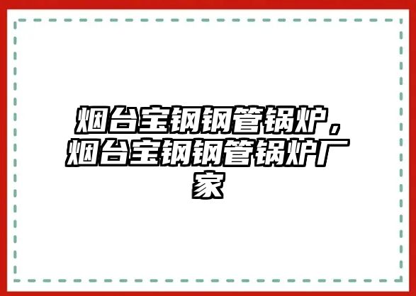 煙臺(tái)寶鋼鋼管鍋爐，煙臺(tái)寶鋼鋼管鍋爐廠家