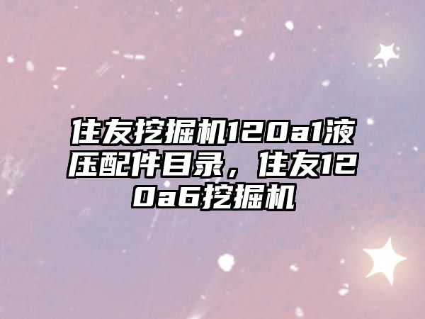 住友挖掘機(jī)120a1液壓配件目錄，住友120a6挖掘機(jī)