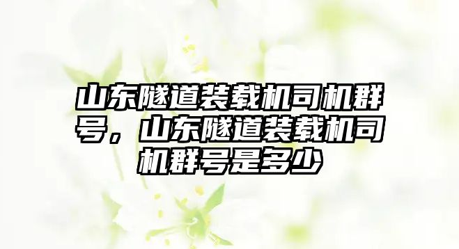 山東隧道裝載機司機群號，山東隧道裝載機司機群號是多少